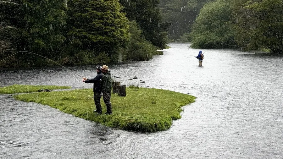Sesión de pesca con mosca bajo lluvia en el río