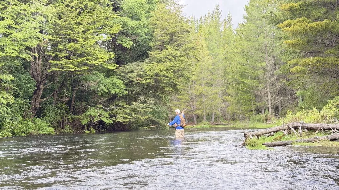 Pescador con mosca vadeando en soledad un río de La Araucanía