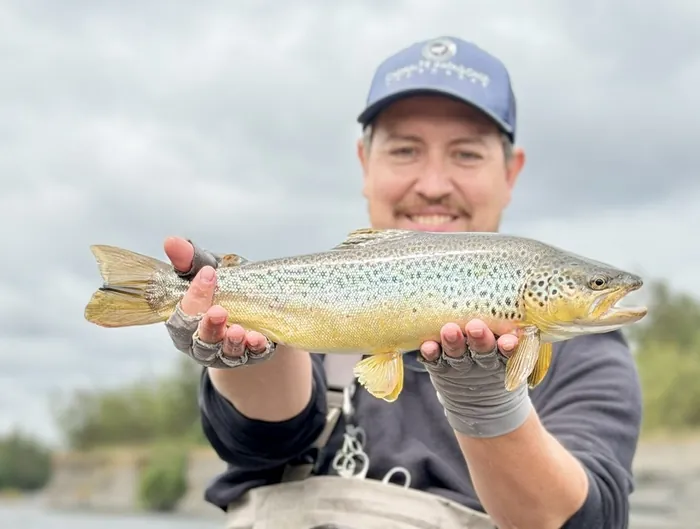 Trucha capturada durante un taller de pesca con mosca en La Araucanía